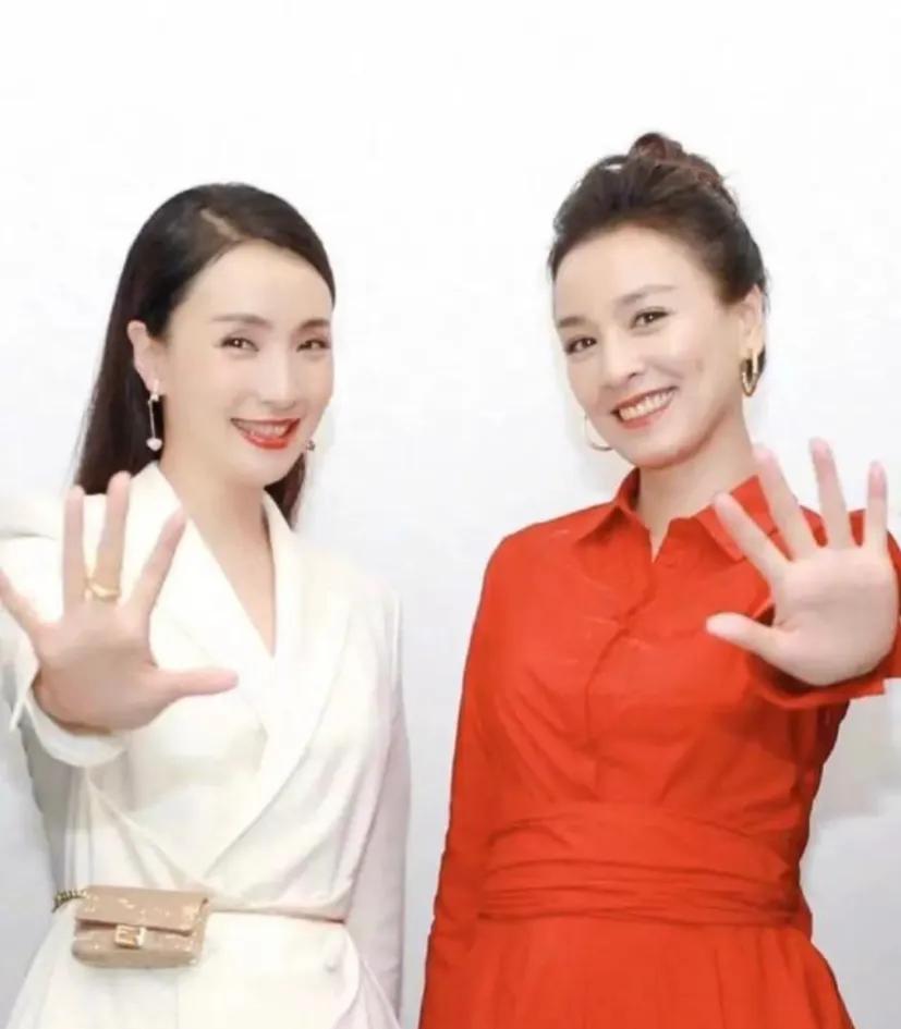 ��������ͥ���޹�˾�������鴦��&ldquo;TSTͥ����&rdquo;�Ǵ�����������6��