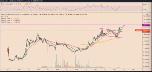 WAVES 价格在一周内暴跌 50%——接下来注意这些支撑位