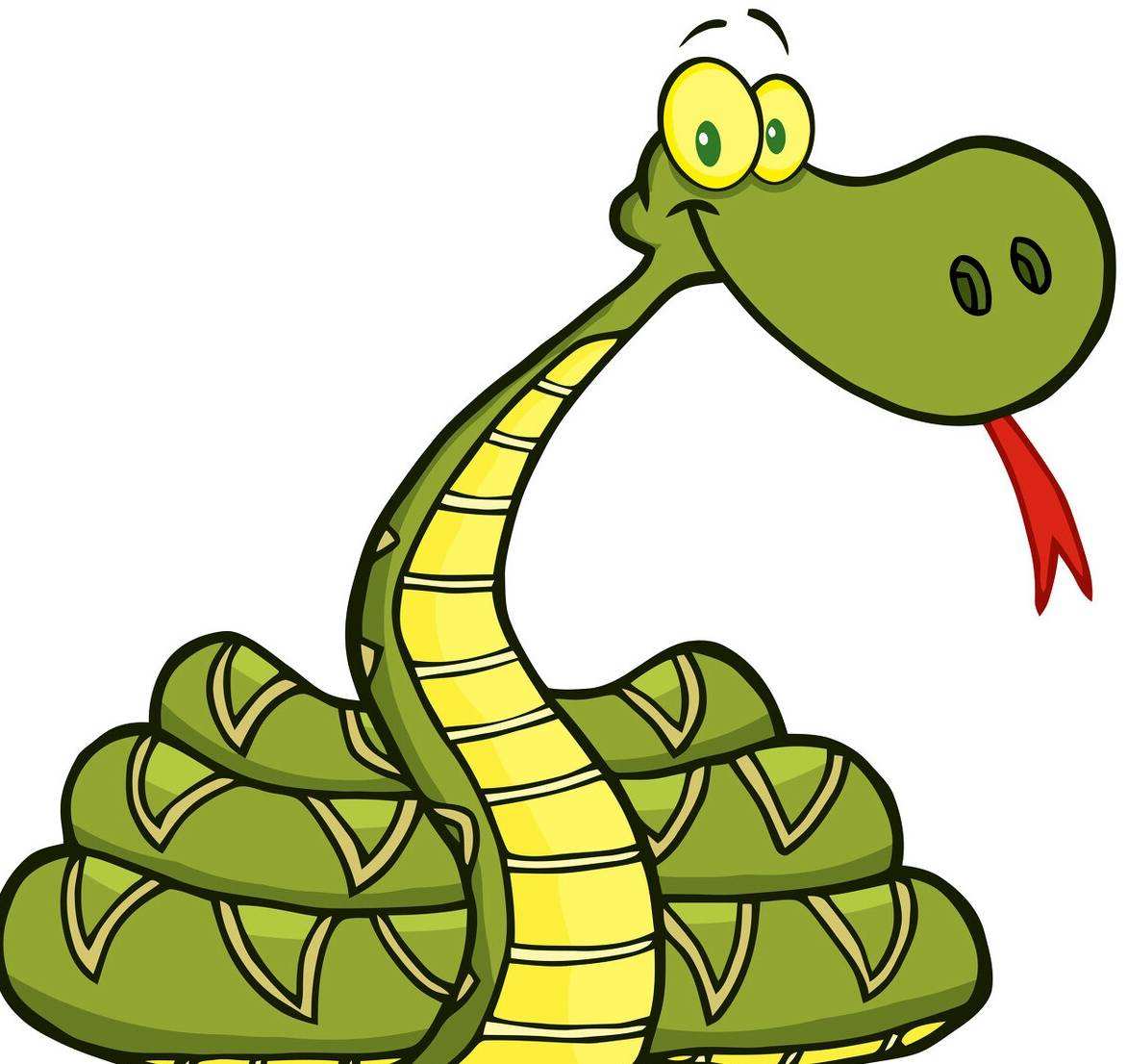 14年美国一科学家故意激怒绿森蚺,身穿盔甲直播被吞,结局如何?