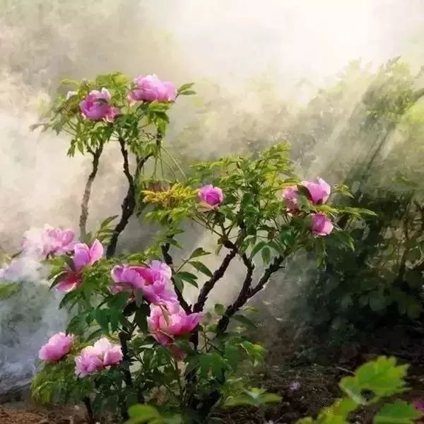 河南：一部河南史，半部华夏册，“豫”见中国的大美之地