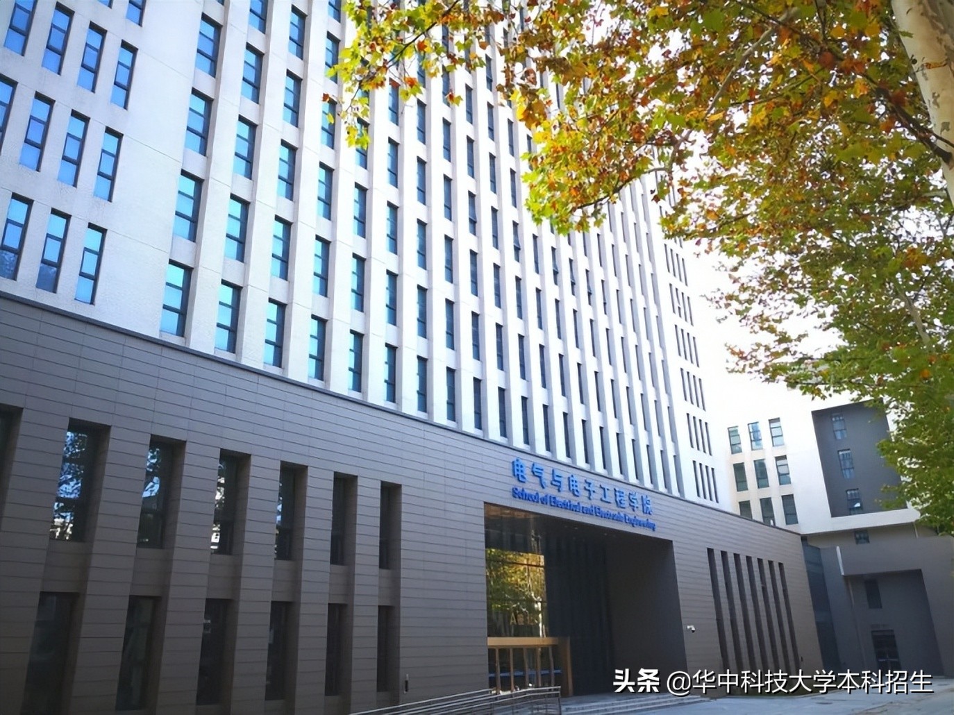 志愿填报必看！就业“绿牌专业”一次性曝光，华中科技大学已开设9个！