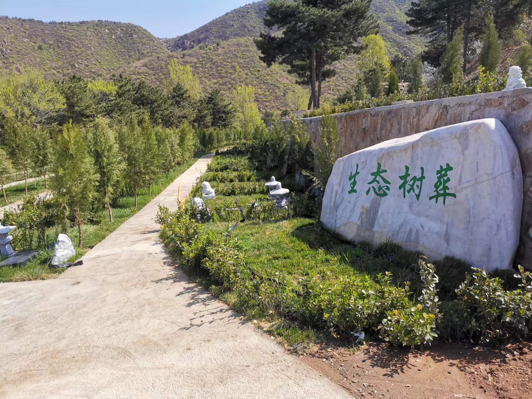 天寿陵园墓地价格(北京树葬陵园有哪些) - 价格百科