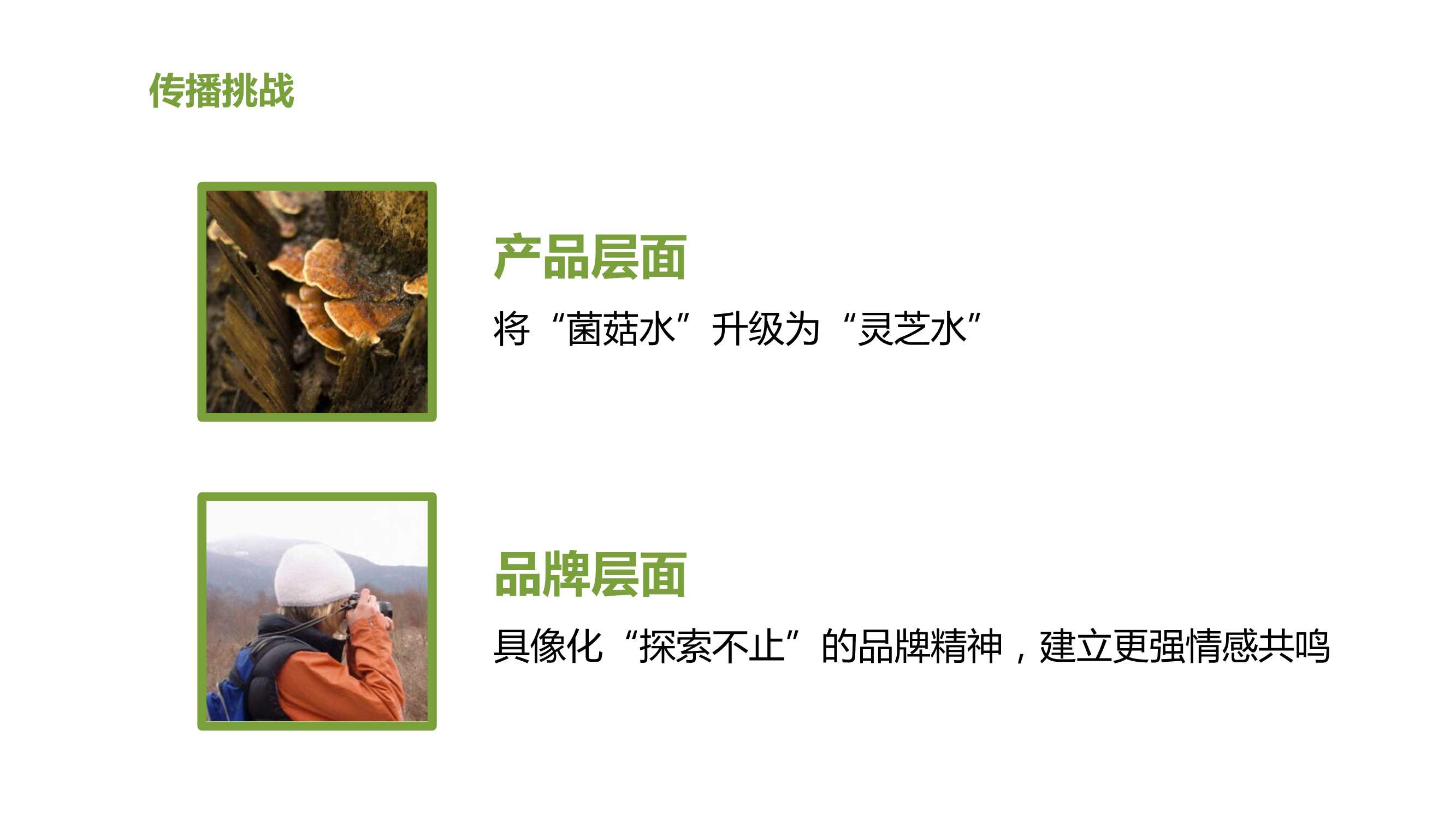 韦博士灵芝焕能精华水品牌传播案「PPT」