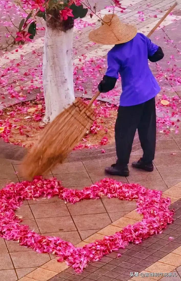 以赏花的心情看人生，花开花落，云卷云舒