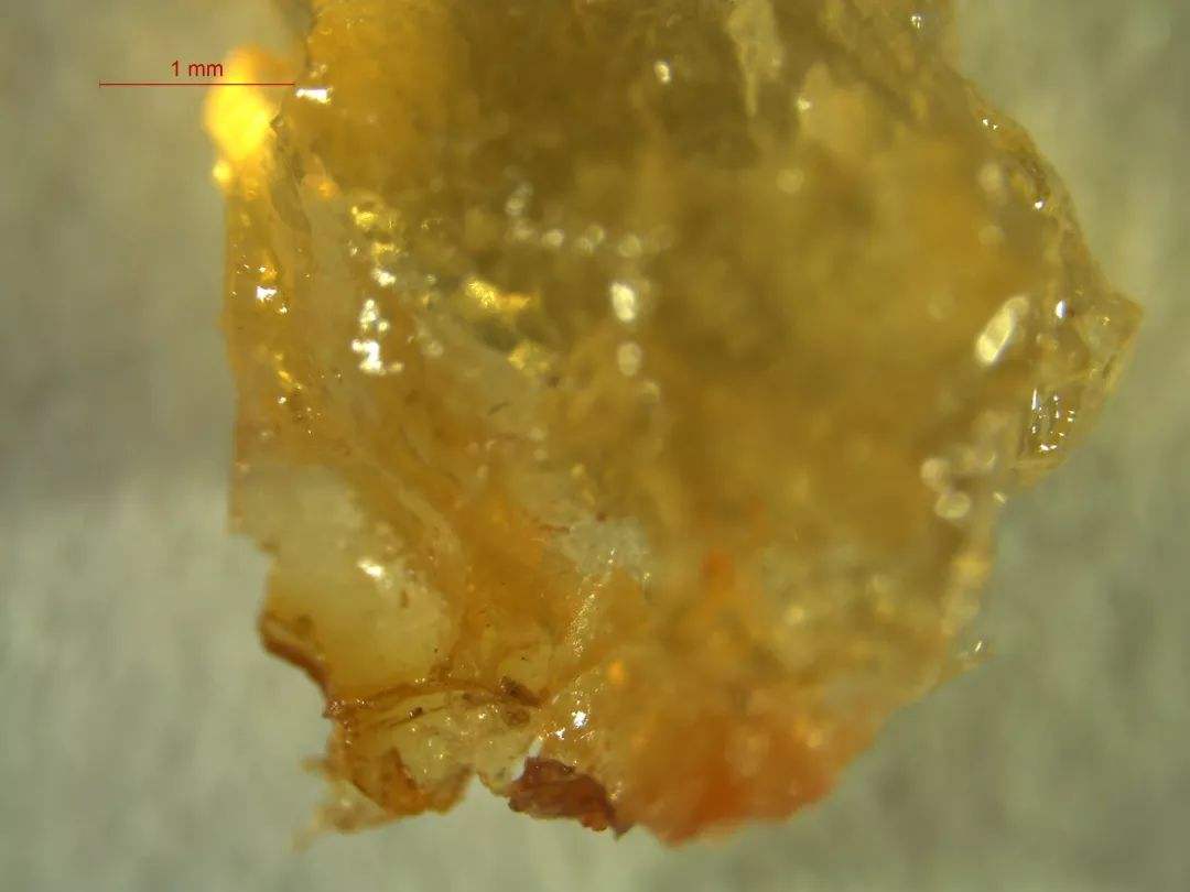 吃肉要避免“注胶肉”，注胶肉和普通肉有啥区别？仔细看3个差别