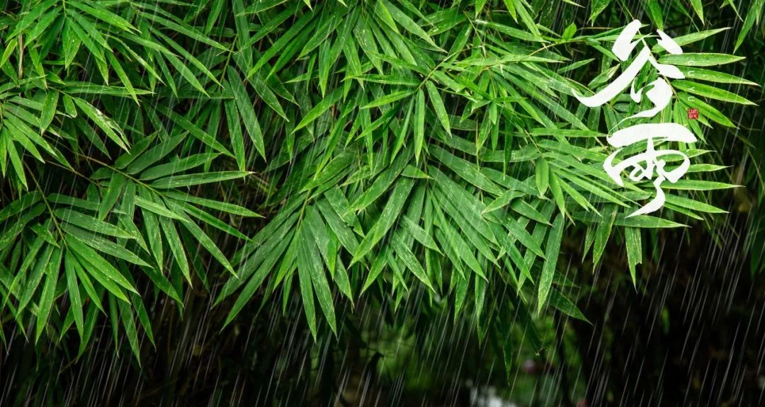 10首最美谷雨诗词，春雨落，百谷生，人间暮春好风光