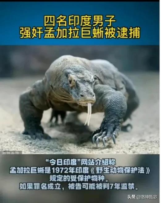 ӡ�Ⱦ�����ʲô����Ϊʲô����˵���ò������ÿ���