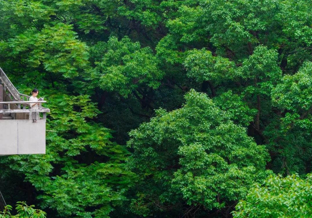 刷屏！多部热门影视剧在此取景，湖北“高颜值”大学火了，风景绝美！