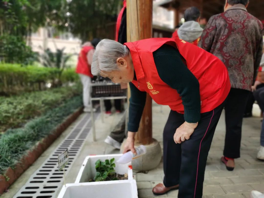 不亦乐乎！养老院可以种菜了