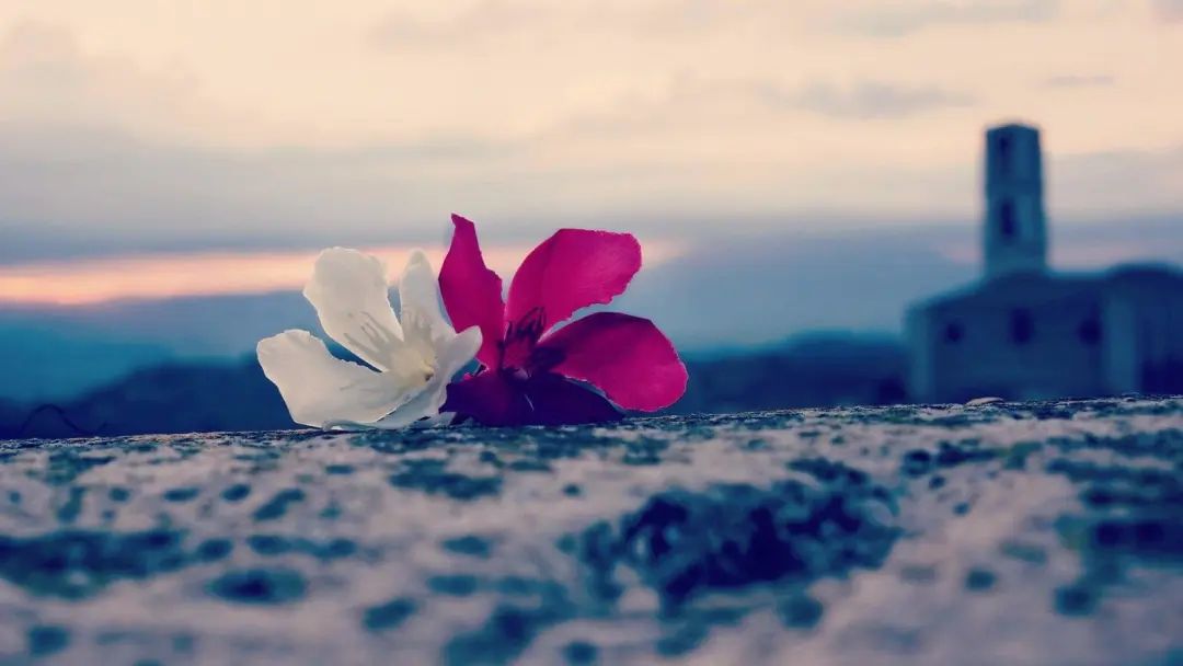 会计舞弊案例（并购中的典型财务舞弊案例）