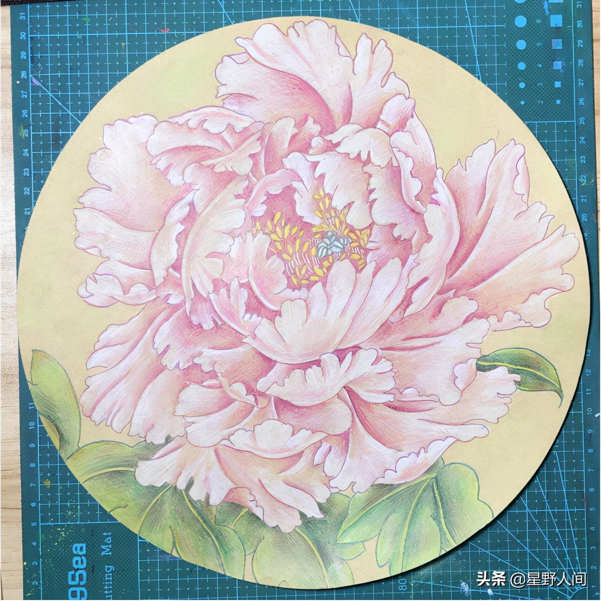 儿童画|综合创意美术课程|9-12岁|彩铅牡丹花