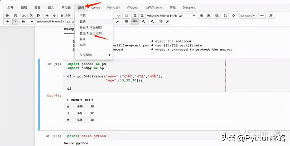 人生苦短，必须学会的写Python代码利器