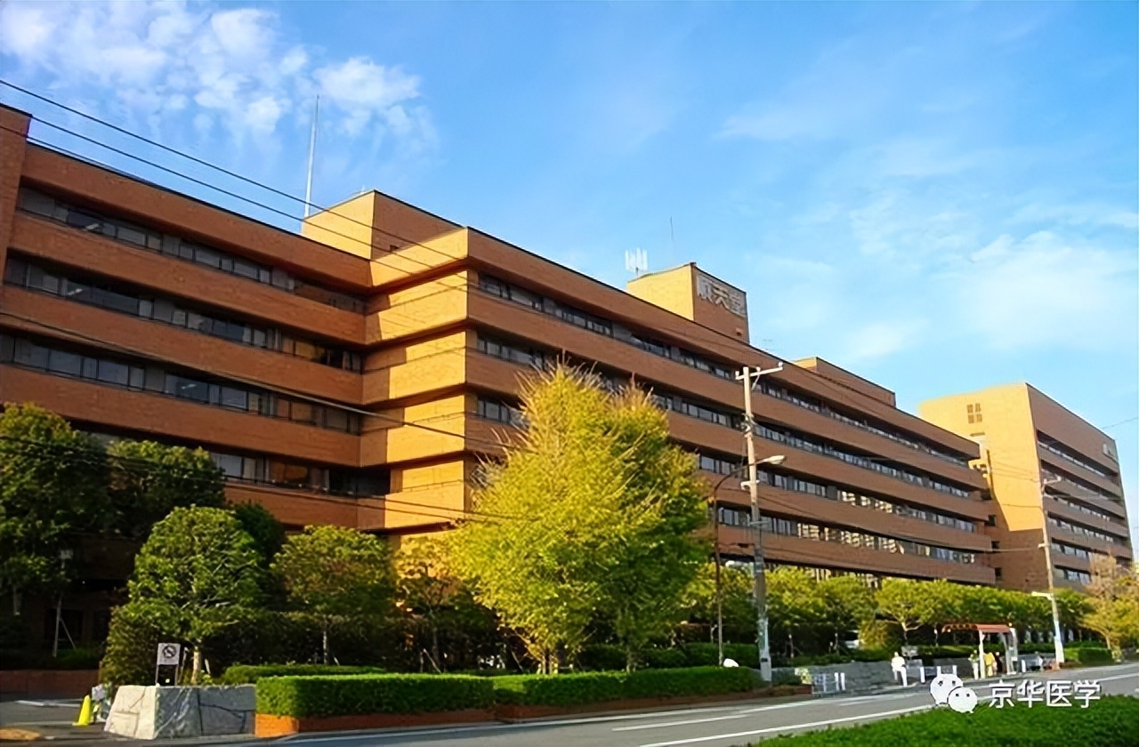 日本顺天堂大学访学案例分享