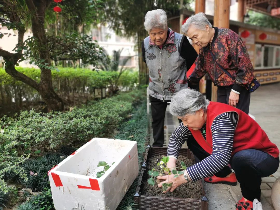 春暖国德（自理篇）丨不为往事忧，但愿余生笑