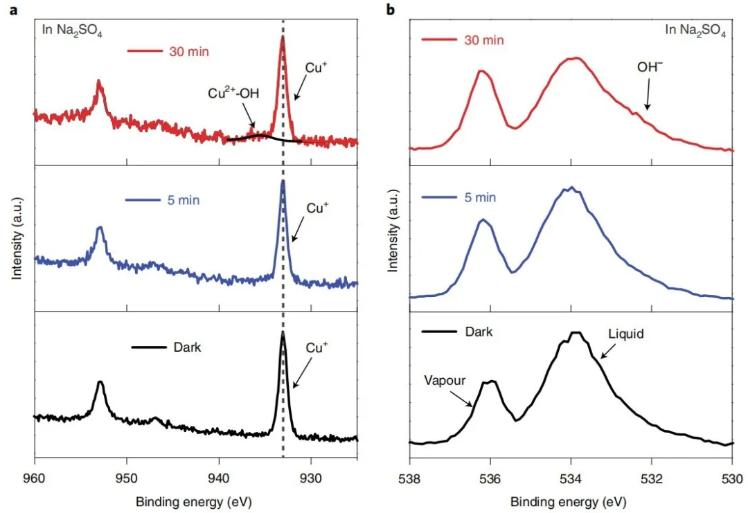 中国科学家将CO₂制乙烯效率提至60%，二氧化碳变燃料更进一步