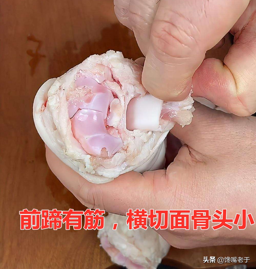 同样是猪蹄：“前蹄”“后蹄”哪个好？差别很大，挑错难吃浪费钱