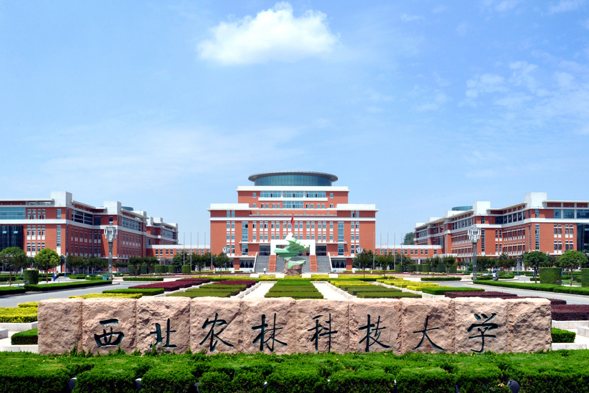 全国第五！这一省7所高校冲进全国百强