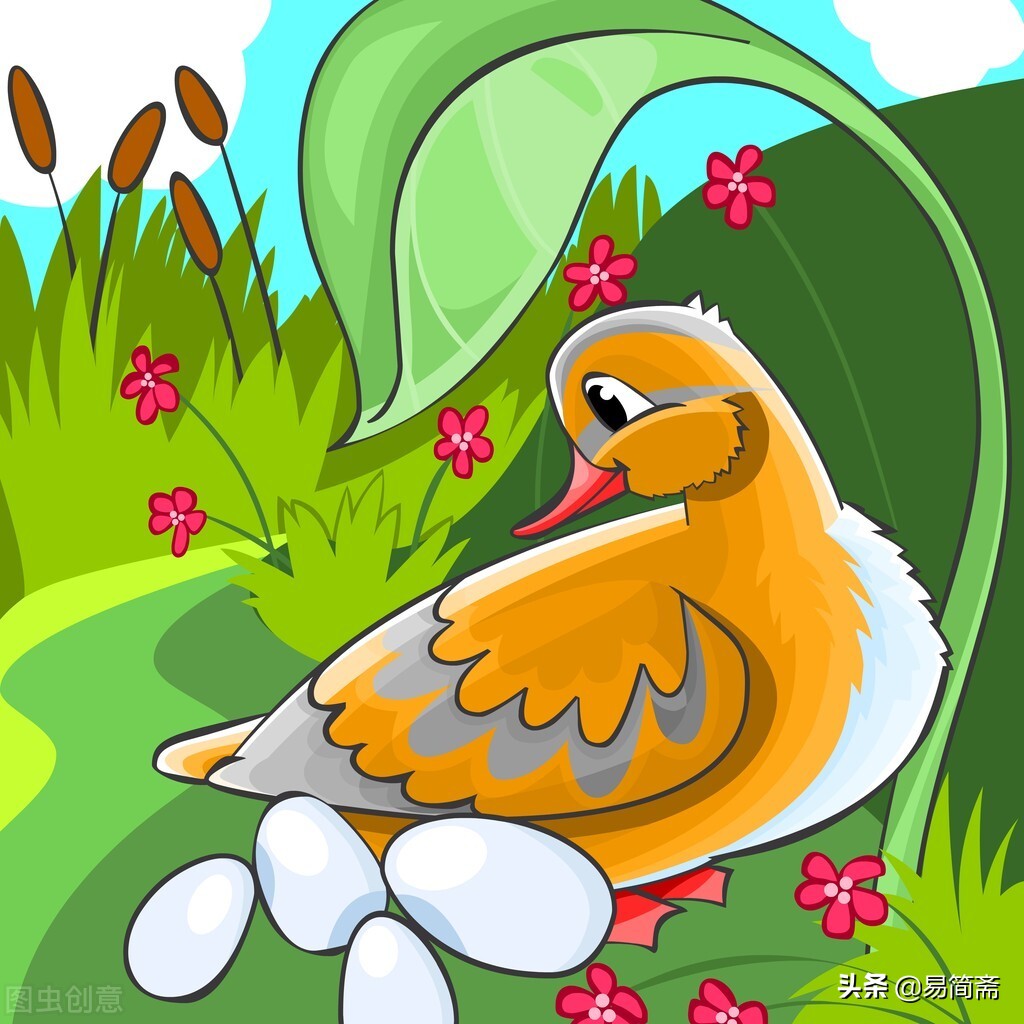 有一天,鸭妈妈在数蛋的时候,发现多了一个蛋.