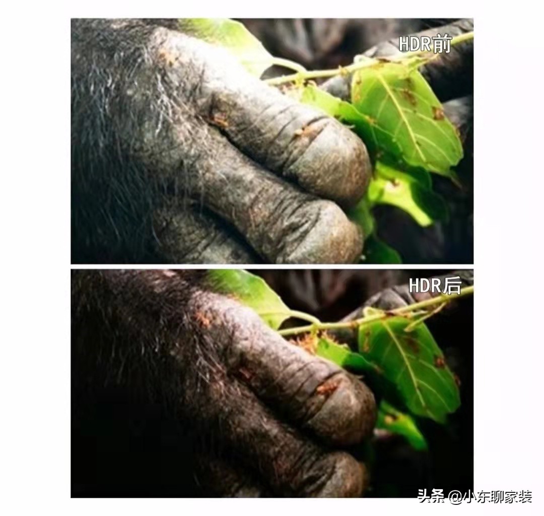 电视机怎么选？别听导购员瞎忽悠，认准这5个方面，谁也别想坑你