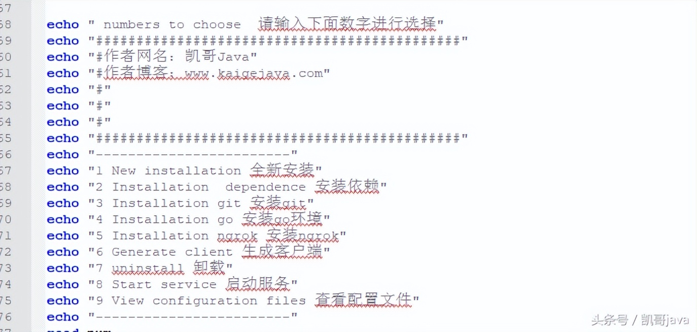 內(nèi)網(wǎng)穿透利器-ngrok的圖文安裝