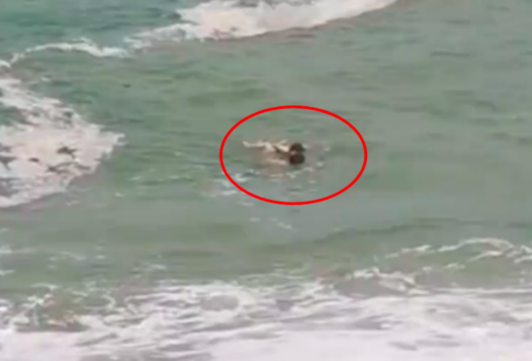 4岁女童被巨浪卷走男子跳海施救，男跳救人者：没什么想法，海施就是作为一个父亲的本能