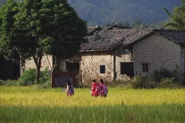 八十岁老人在家离世，两天后才发现，留下满屋子整齐柴火让人泪目