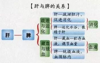 百病从肝治：肝脏保健方法汇总，快收藏转发给朋友