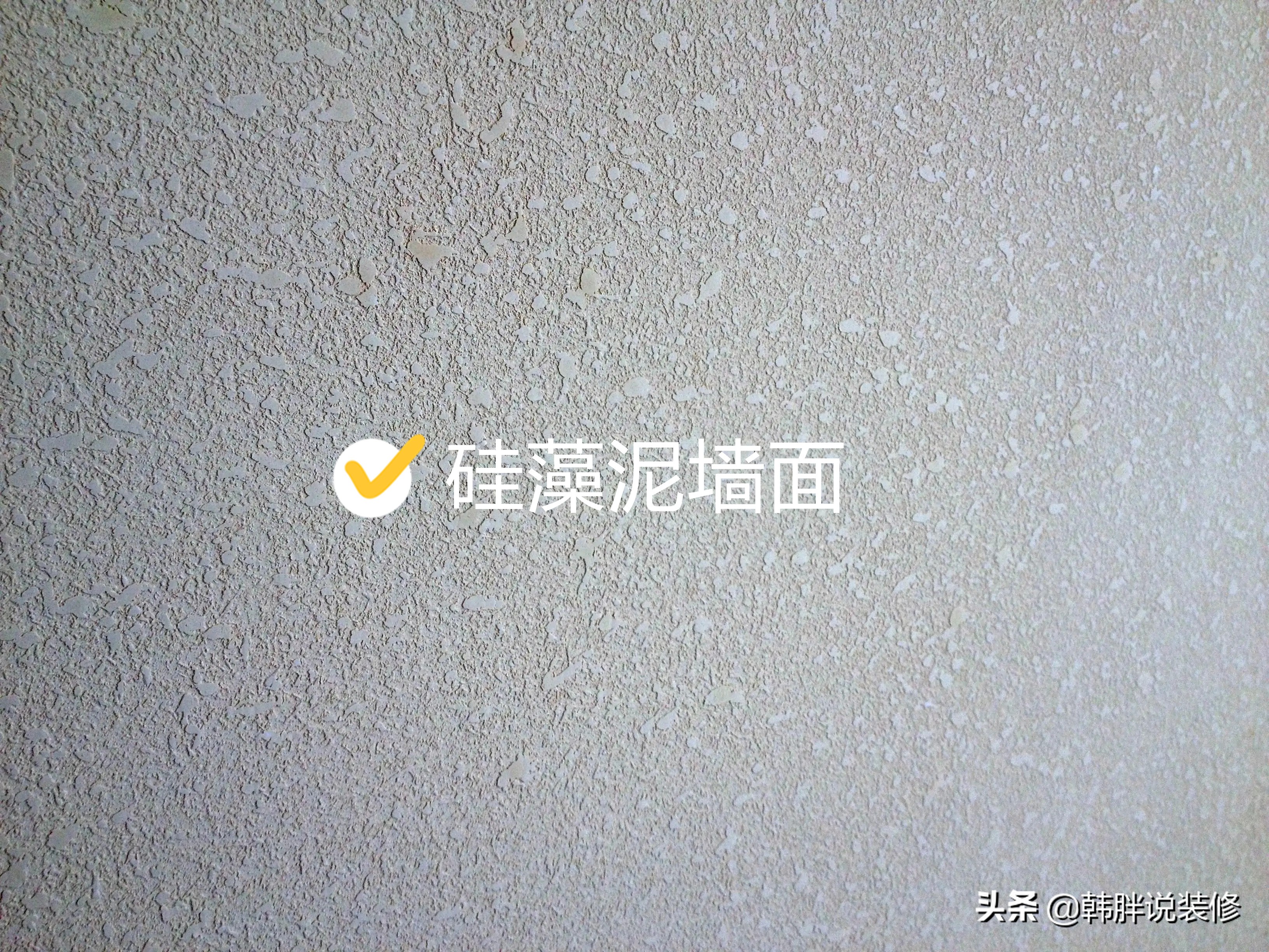 不管設計師的意見，客廳坚持“10不装”，入住后才知道有多机智