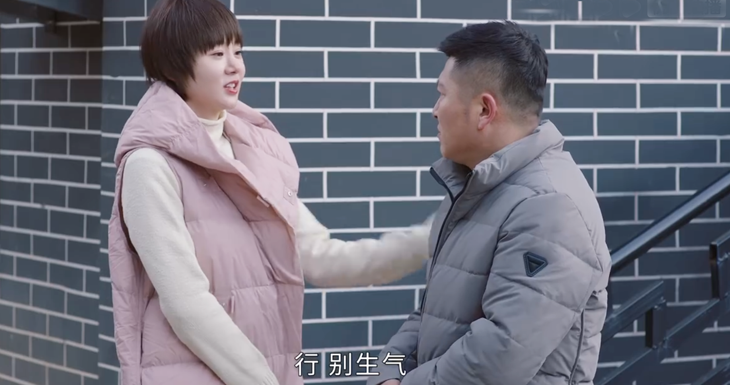 《乡村爱情》5个角色成工具人，丁宁陪跑小蒙娘憋屈，谢兰2次下线