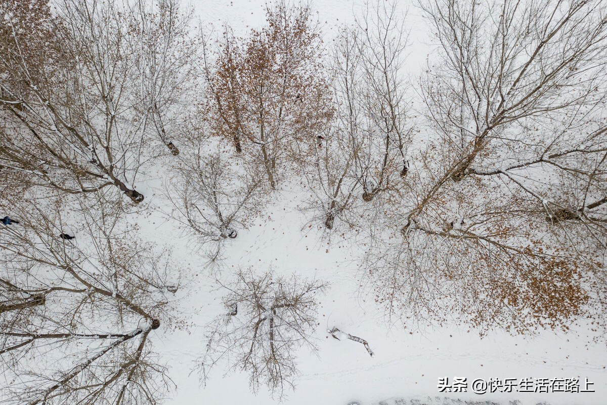 下雪 好兆头（今天下雪了）