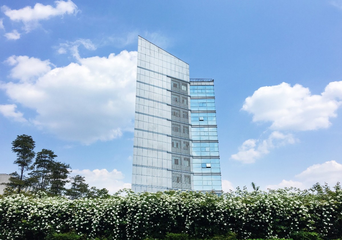 四川这所高校：成果全球独有，登上顶级期刊！