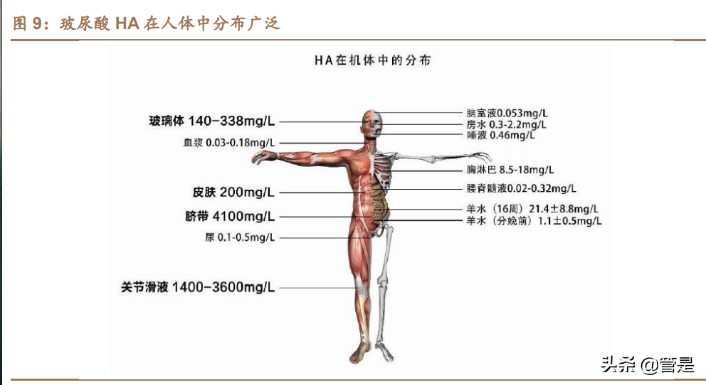 医美化妆品行业之华熙生物研究报告：龙头强α逐步兑现