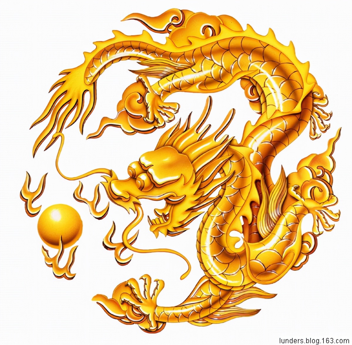 各种龙的图片大全大图（15张传统的中国龙图片）