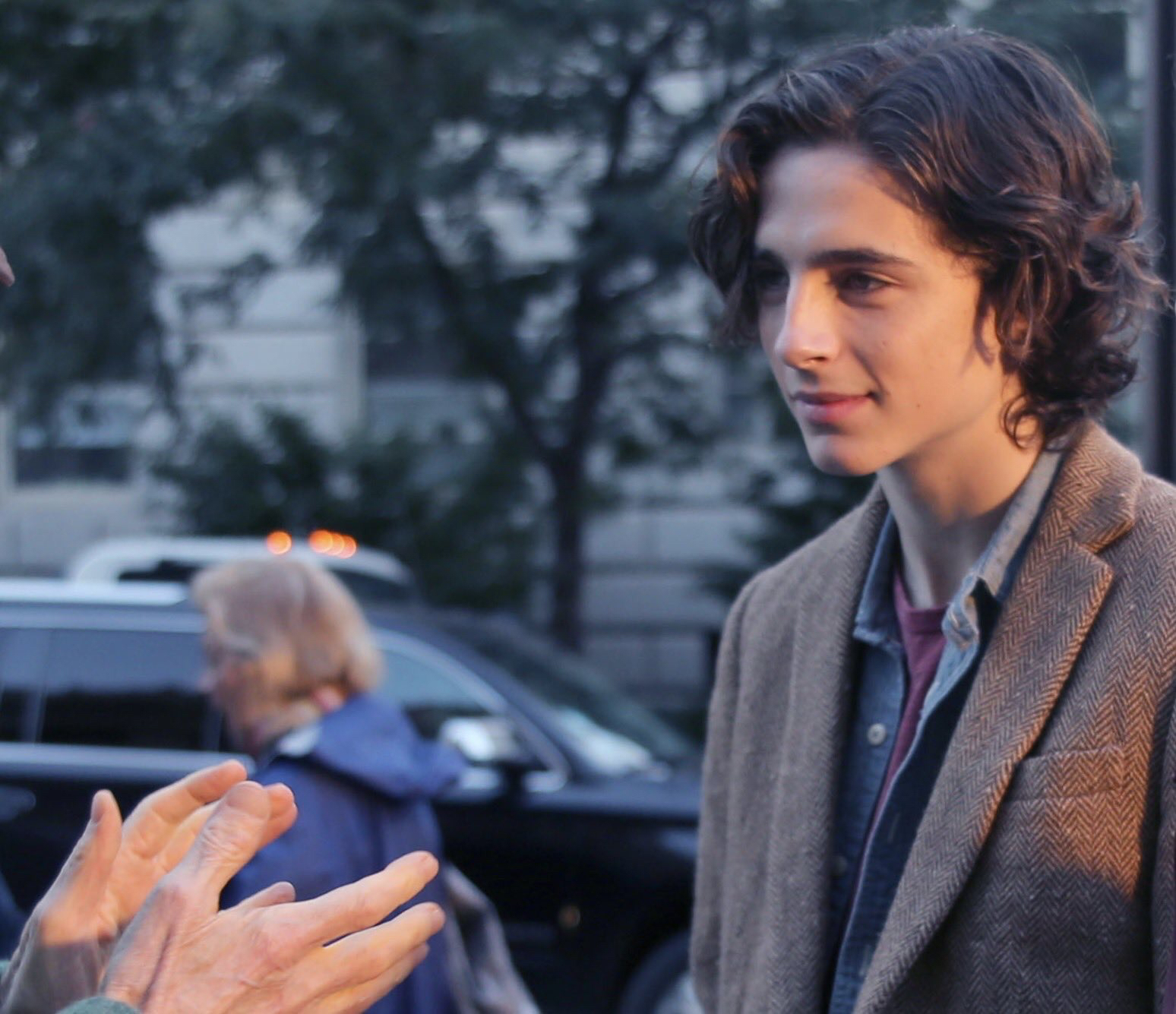 "甜茶"蒂莫西·柴勒梅德 引人瞩目的表演天才