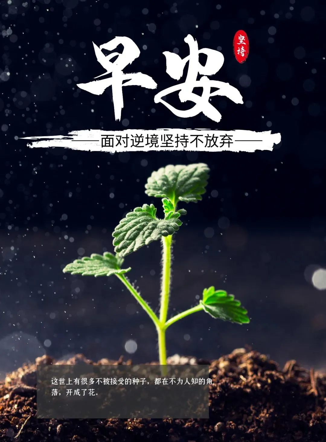 03.23」早安心语,正能量语录励志句子说说,早上好图片