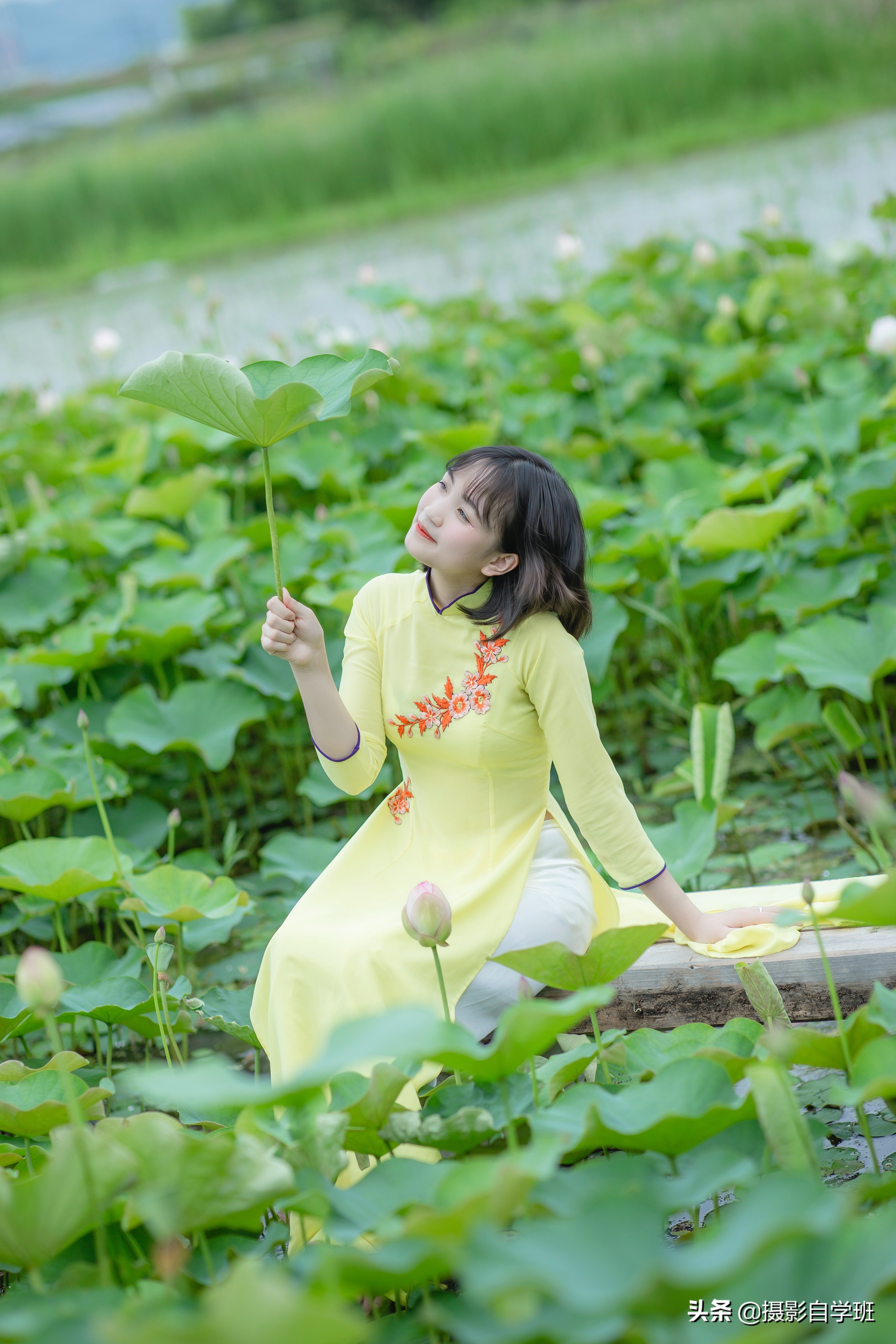 拍攝荷花人像注意這6個(gè)影響，必能拍出精品，經(jīng)久不衰