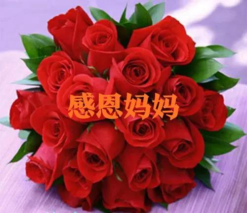 感恩母亲,祝您生日快乐