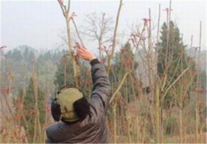 困难户（百姓故事）