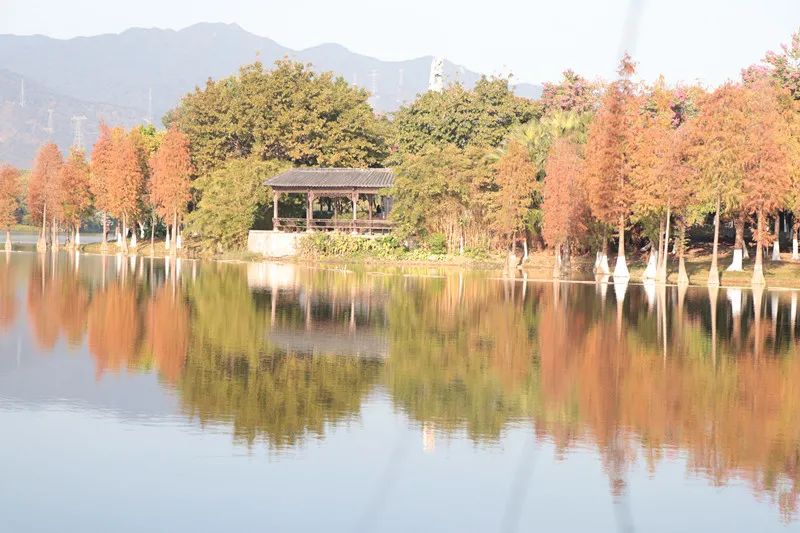 1月，飞来湖见！