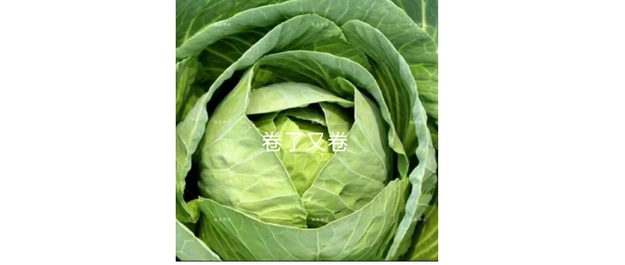 测评：8成！年化3.7%！武汉银行抵押贷款卷疯了……