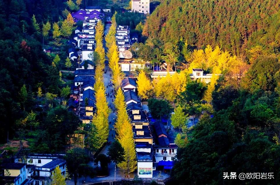 适合冬天出发的12条自驾路线,人少景美,来一场自驾之旅吧 适合冬天出发的12条自驾路线,人少景美,来一场自驾之旅吧