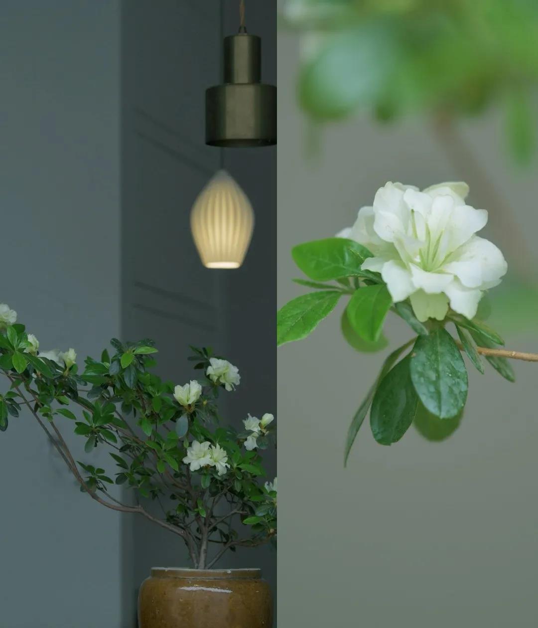 静吧装修设计赏读：简约雅致，营造宁静氛围