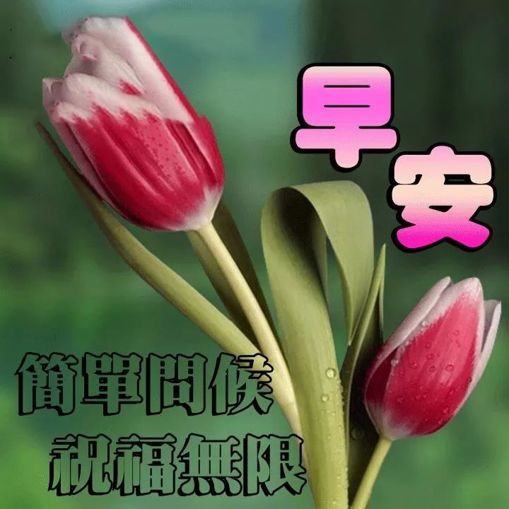 周六早上好 朋友圈问候语句子文案