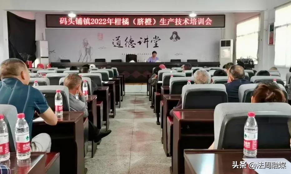 澧县码头铺镇：召开柑橘生产技术培训会