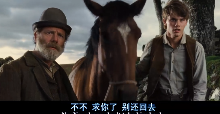《战马》感人反战片，电影主角竟是一匹马