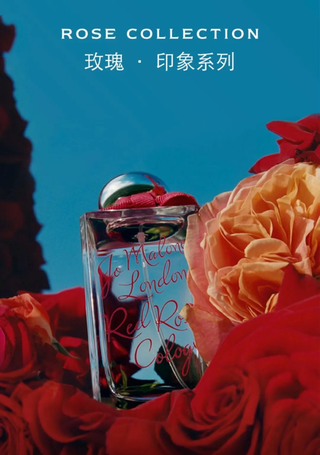 dior新年限定（dior节日限定日历）