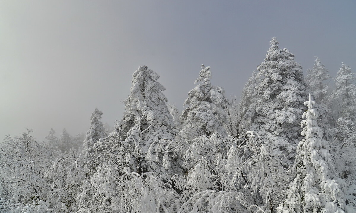 成都冬季怎么玩？成都周边这6个冬日玩雪胜地一定不要错过！插图25