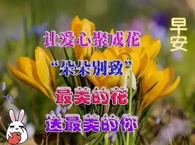 早上好每天一句祝福語 祝你天天美麗好心情 平安開心如意