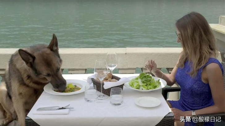 赵本山儿子花260万买狗不算什么，看看世界上最有钱的狗身价20亿