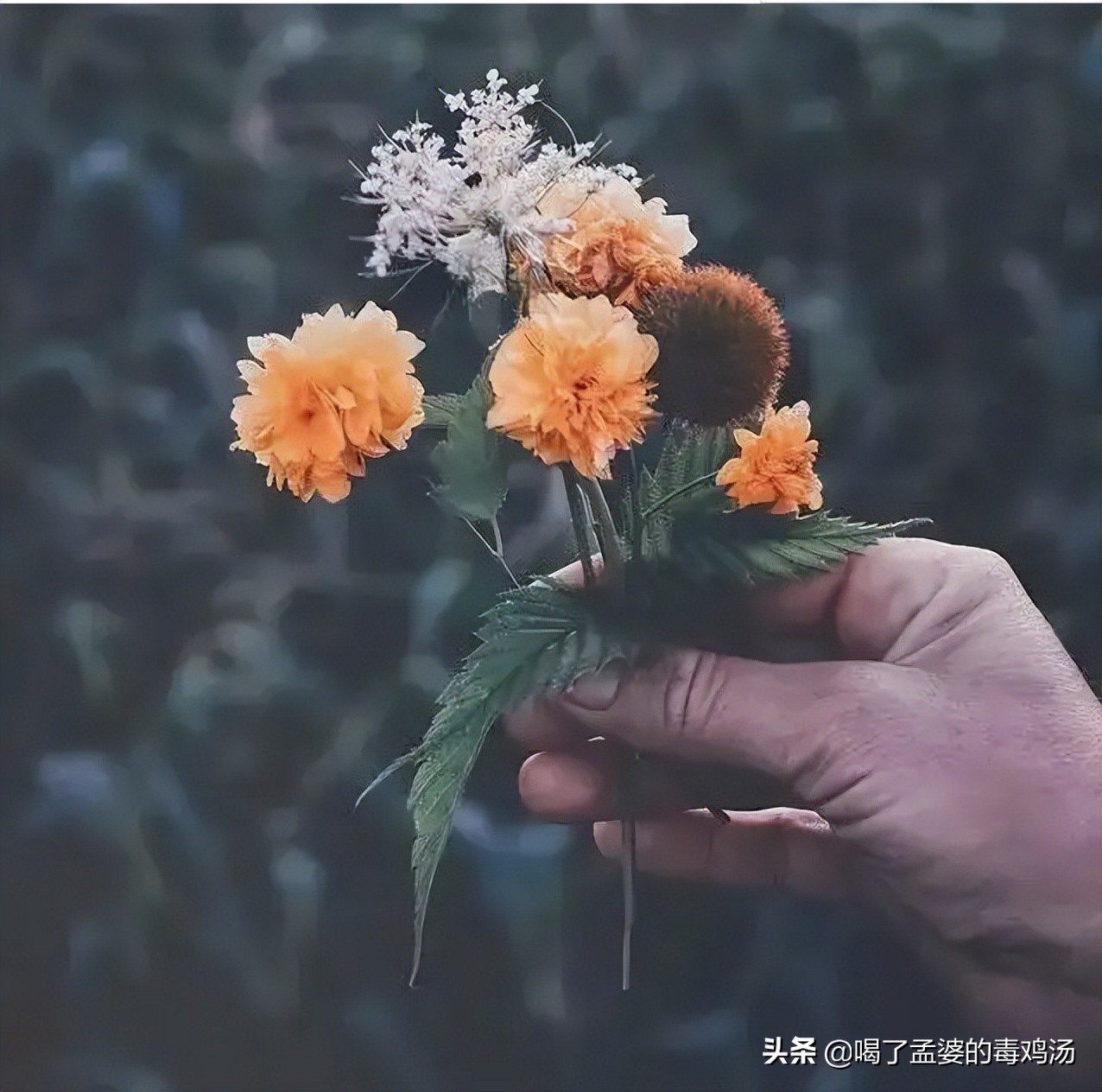 工作后才明白的道理十个道理，现实又扎心